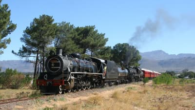 Zuid-Afrikaanse spoorweg carrousel
